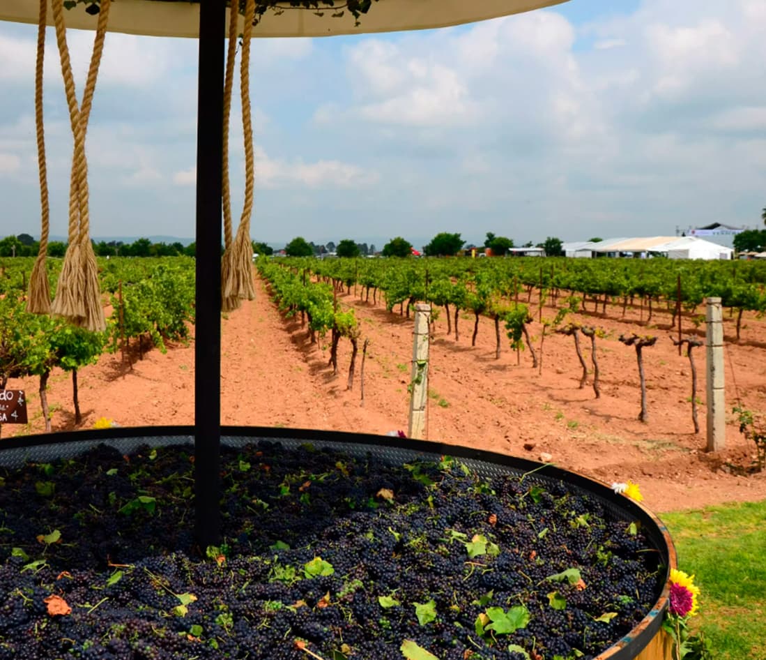 Misiones